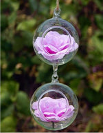 Double Glass Ball - Terrarium
