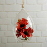Glass Bell - Terrarium
