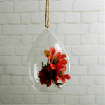 Glass Bell - Terrarium