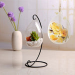 Glass Bell - Terrarium