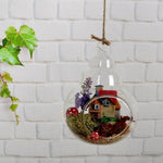 My Glass Perry - Terrarium
