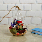 My Glass Perry - Terrarium