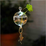 Double Glass Ball - Terrarium