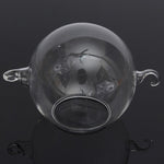 Double Glass Ball - Terrarium