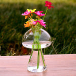 Glass Mushroom - Terrarium