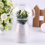 Glass Mushroom - Terrarium