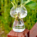 Glass Mushroom - Terrarium