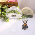 Glass Mushroom - Terrarium