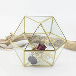 Glass Hexagon - Terrarium