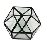 Glass Hexagon - Terrarium