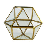 Glass Hexagon - Terrarium
