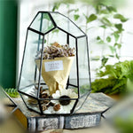 The Fourth Dimension - Terrarium