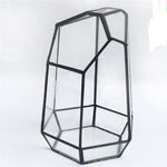 The Fourth Dimension - Terrarium