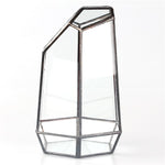The Fourth Dimension - Terrarium