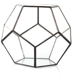 The Fourth Dimension - Terrarium