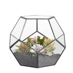 The Fourth Dimension - Terrarium