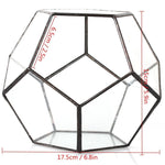 The Fourth Dimension - Terrarium
