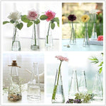 Glass Cone - Terrarium
