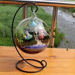 Glass Ball - Terrarium