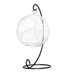 Glass Ball - Terrarium