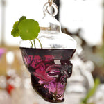Glass Skull - Terrarium