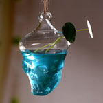 Glass Skull - Terrarium