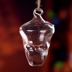 Glass Skull - Terrarium