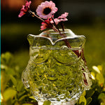 Glass Owl - Terrarium