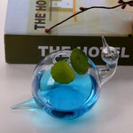 The Water Snail - Terrarium