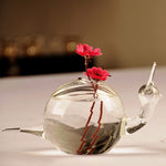 The Water Snail - Terrarium