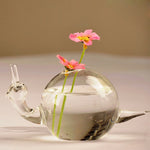 The Water Snail - Terrarium