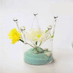 My Glass Crown - Terrarium